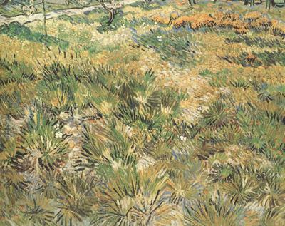 Vincent Van Gogh Meadow in the Garden of Saint-Paul Hospital (nn04) china oil painting image